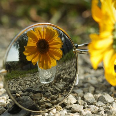 V odraze - Petra Ščevlíková